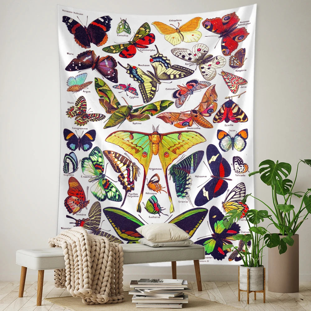 The Language of Nature Collection